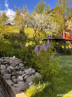 Casa de vanzare Azuga - imagine 5