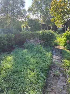 Casa de vanzare - Cornatel, la 20 de minute de Sibiu - imagine 3