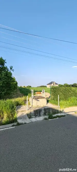 teren livadă cu nuci - imagine 2