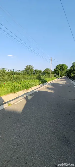 teren livadă cu nuci - imagine 3