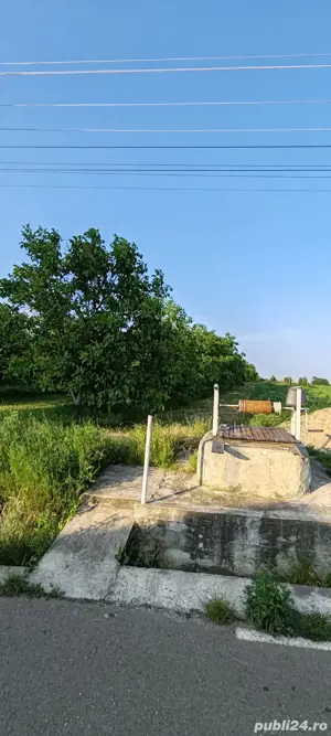 teren livadă cu nuci - imagine 4