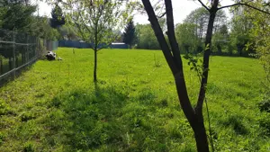 Teren intravilan, 2700 mp, in Purcareni