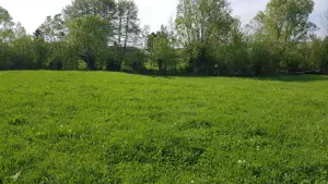 Teren intravilan, 2700 mp, in Purcareni - imagine 4