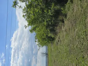 Teren pentru casă, zonă cu priveliste splendida! - imagine 14 Teren pentru casă, zonă cu priveliste splendida! - imagine 14