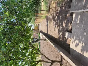 Casă de vanzare Comana jud Constanta  - imagine 9