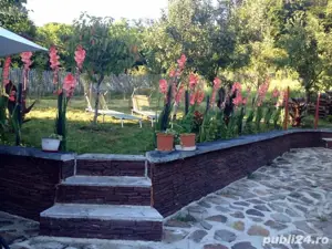 Casa de vanzare Malureni, Arges - imagine 2