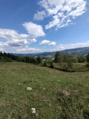 Teren Intravilan Lunca Ilvei  jud. Bistrita  30 000 Euro negociabil  - imagine 4