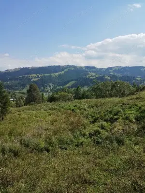 Teren Intravilan Lunca Ilvei  jud. Bistrita  30 000 Euro negociabil  - imagine 3