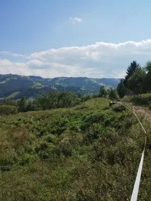 Teren Intravilan Lunca Ilvei  jud. Bistrita  30 000 Euro negociabil  - imagine 2