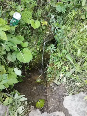 Teren Intravilan Lunca Ilvei  jud. Bistrita  30 000 Euro negociabil  - imagine 5