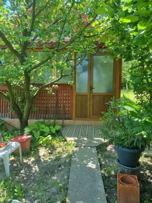 Vand casa cu teren 2093 mp Murgesti Buzau - imagine 5