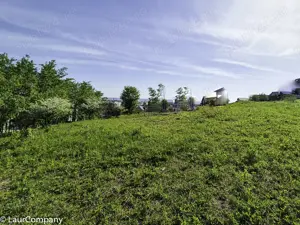 Teren intravilan Trivale Pitesti  - imagine 3