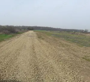 Vand teren Magurele Proprietar