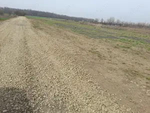 Vand teren Magurele Proprietar - imagine 4