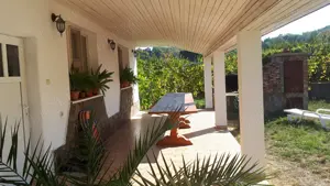 Casă mare de familie + casă secundară, teren 5500 m2 , 300 pomi   Oradea, strada Prunilor - imagine 4