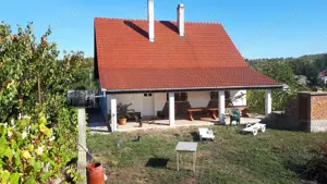 Casă mare de familie + casă secundară, teren 5500 m2 , 300 pomi   Oradea, strada Prunilor - imagine 2