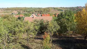 Casă mare de familie + casă secundară, teren 5500 m2 , 300 pomi   Oradea, strada Prunilor - imagine 6