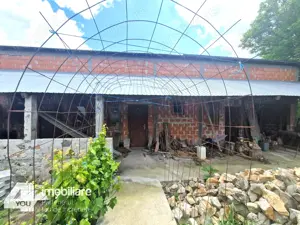 Casa in Loc. Pecica, teren 1602 mp, fs.17 ml, termoteca