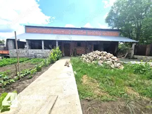 Casa in Loc. Pecica, teren 1602 mp, fs.17 ml, termoteca - imagine 4