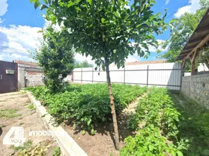 Casa in Loc. Pecica, teren 1602 mp, fs.17 ml, termoteca - imagine 6