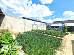 Casa in Loc. Pecica, teren 1602 mp, fs.17 ml, termoteca - imagine 3