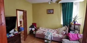 Vand Casa P+M 200 mp +15 ari teren Tăuții Măgherăuș - imagine 5