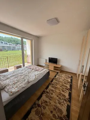 Apartament 1 camera decomandat Porii - imagine 8