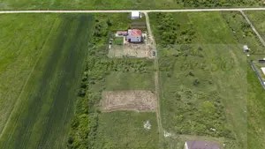 Vand Teren Mosnita, Padurea Bistra - imagine 3