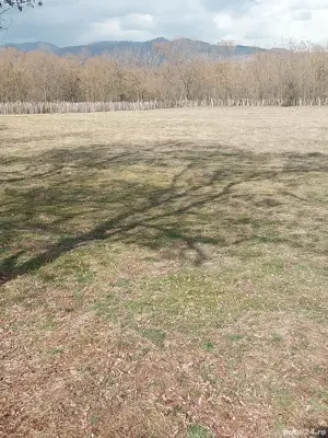 Teren intravilan 2500 m - Polovragi - imagine 3