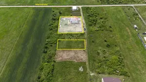 Vand Teren Mosnita, Padurea Bistra - imagine 4