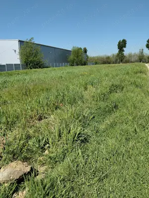 Teren de vânzare intravilan Moară domneasca  - imagine 8