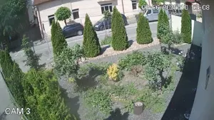 caut om  pentru curatenie  gradina