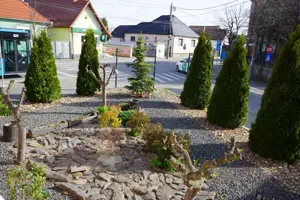 caut om NUMAI din Sibiu pentru intretinere gradina - imagine 2