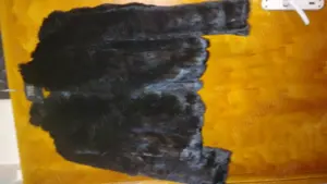  blana iepure negru  mărime  - imagine 2