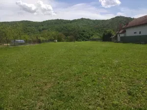 Tisau, Grajdana, BZ - vand teren 4560 mp - imagine 2