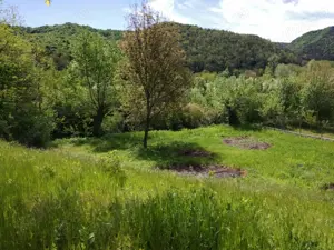 Tisau, Grajdana, BZ - vand teren 4560 mp