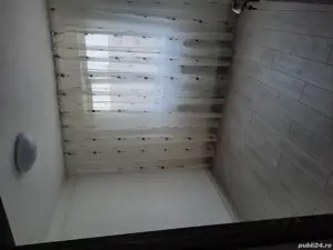 zugrav faiantar - imagine 4