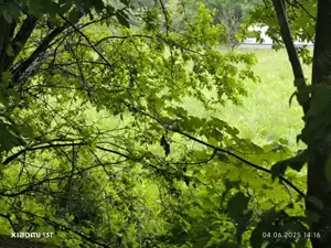 Valea Doftanei Treisteni teren cu deschidere la rau  - imagine 3