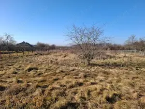 Teren Corbeanca Petrești 725 mp la 250 m de mall si DN1 - imagine 3