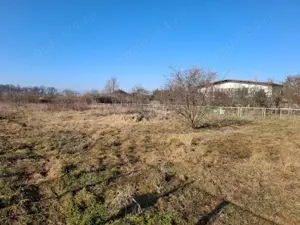 Teren Corbeanca Petrești 725 mp la 250 m de mall si DN1 - imagine 2