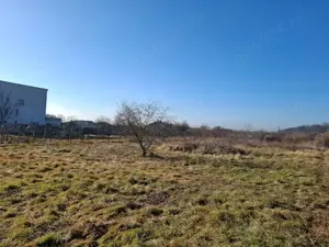 Teren Corbeanca Petrești 725 mp la 250 m de mall si DN1 - imagine 4