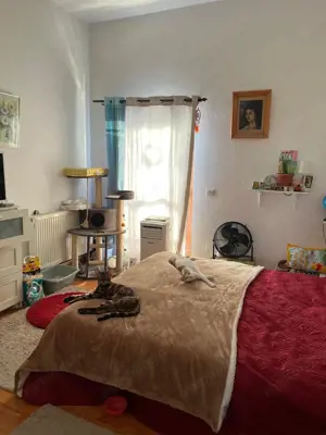 Vila Corbeanca, 217 mp desf., 3 terase, 2 bai, loc de parcare, ideal investiție - imagine 12