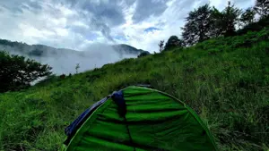 Vând teren extravilan 10439mp, loc Telciu.