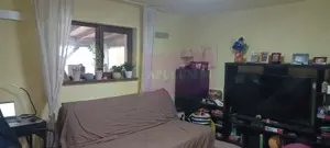 Săbăreni, casă 2011, P+M 4 camere + dependințe, curte 500 mp - imagine 5