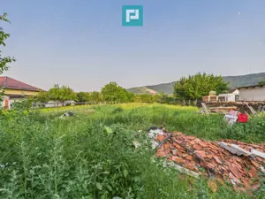 Casă cu 3 camere în Galșa, Arad, teren 1197 mp - imagine 13