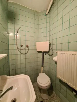 Spatiu zona Garii   statia Faget   38 mp   vizibilitate stradala - imagine 6