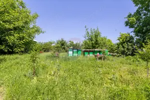 Proprietate versatilă cu casă, două hale și teren generos - imagine 15