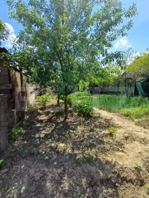 Casa renovabila de vanzare, cu 2 camere, 97 mp, zona Poiana - imagine 4