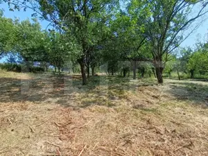 Casa cu 2 camere, 250 mp, zona sud-est - imagine 16