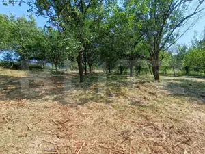 Casa cu 2 camere, 250 mp, zona sud-est - imagine 17